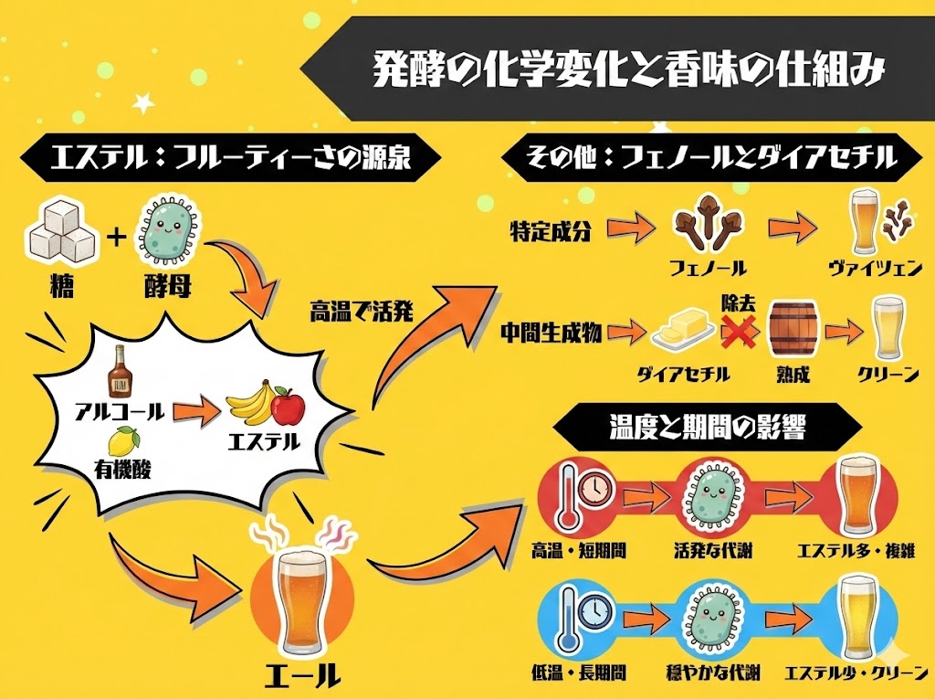 なぜ味と香りが変わるのか？発酵が生み出す化学変化の仕組み