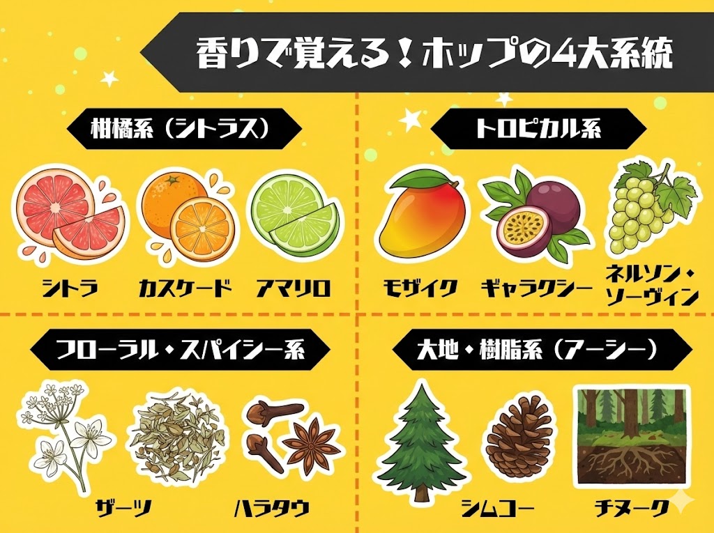香りの系統で覚える 代表的なホップ品種一覧