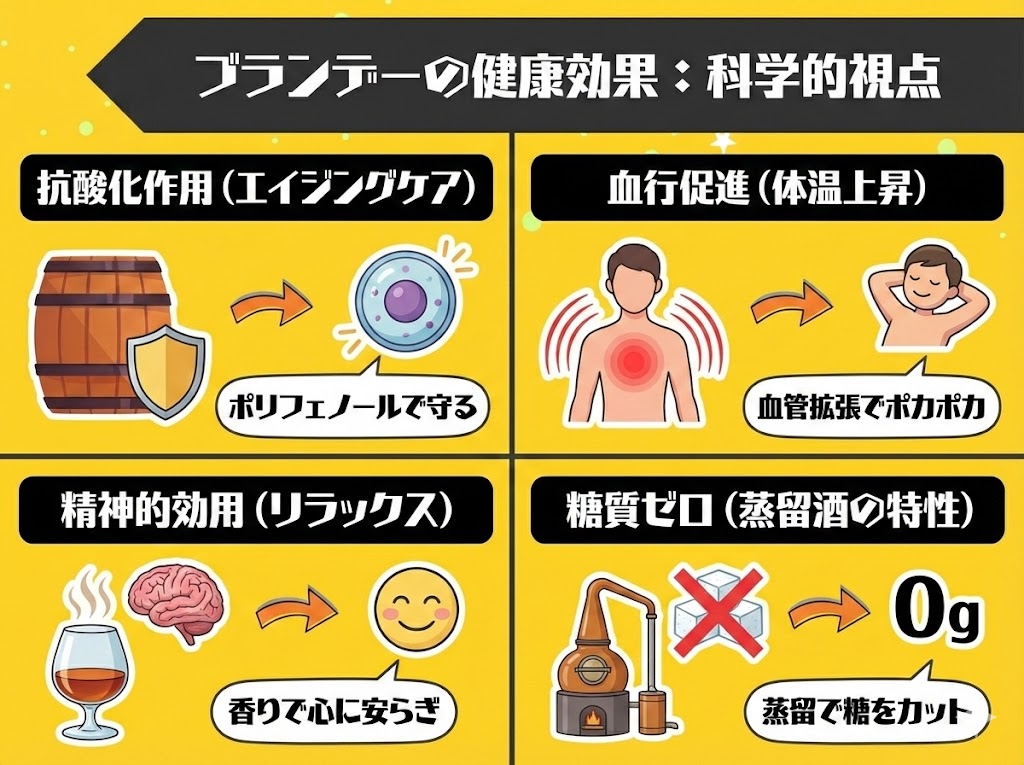科学的根拠から見るブランデーに期待される健康効果