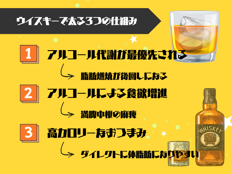 【結論】ウイスキーで太る3つの仕組み｜糖質ゼロの嘘と真実