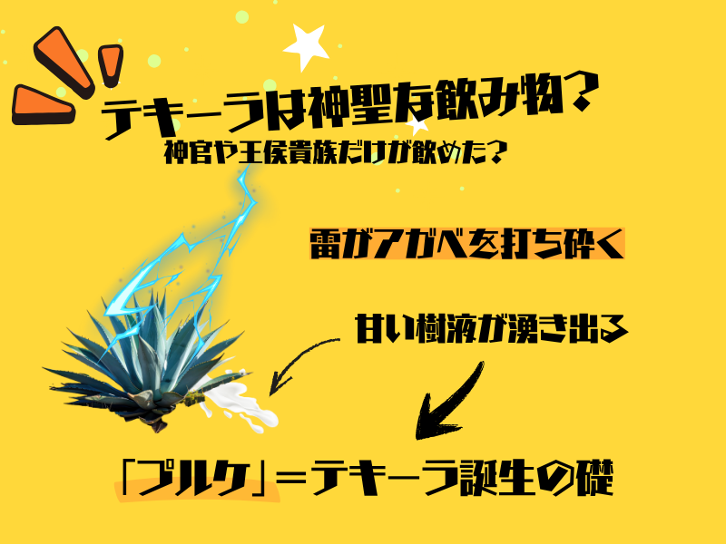 テキーラ誕生の物語｜神話の酒から蒸留酒への進化