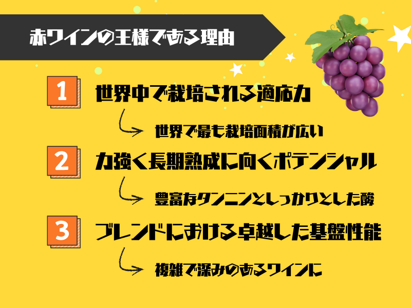 なぜカベルネソーヴィニヨンは「赤ワインの王様」なのか？3つの理由