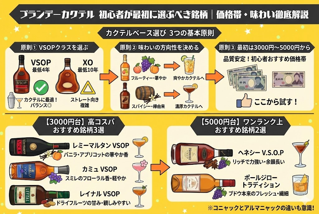 ブランデーカクテル初心者が最初に選ぶべき銘柄|価格帯と味わいで徹底解説