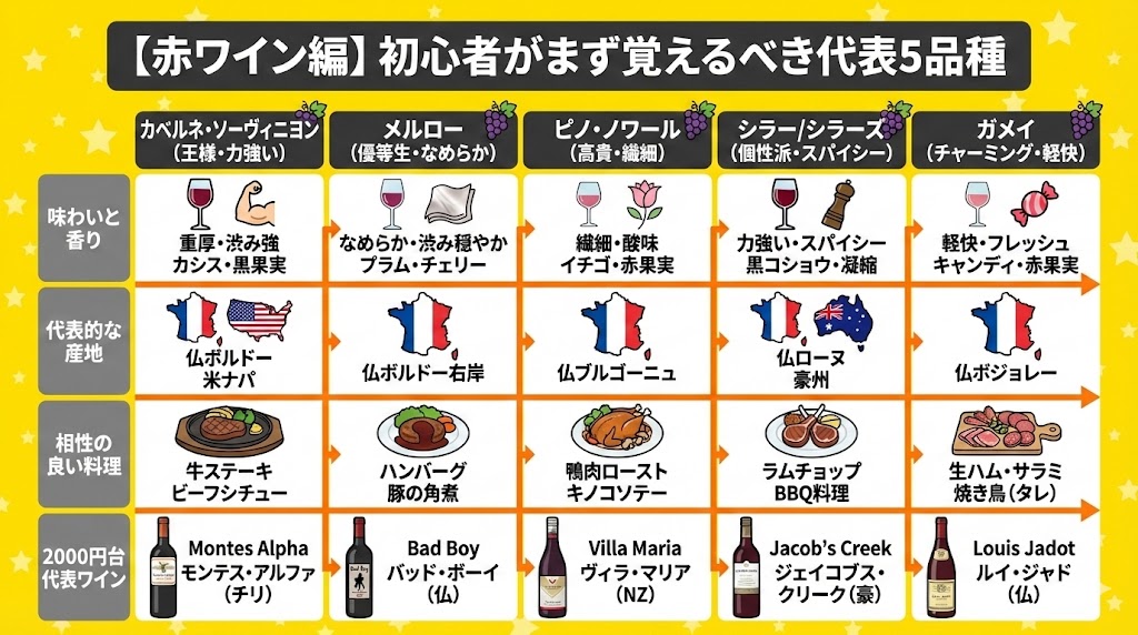【赤ワイン編】初心者がまず覚えるべき代表5品種