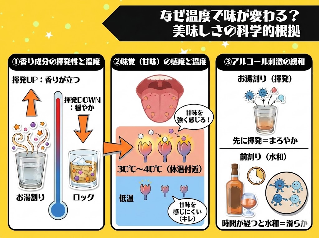 なぜ温度で焼酎の味は劇的に変わるのか?美味しさの科学的根拠